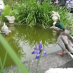 Hotel Schlossgarten Am Park Von Sanssouci
