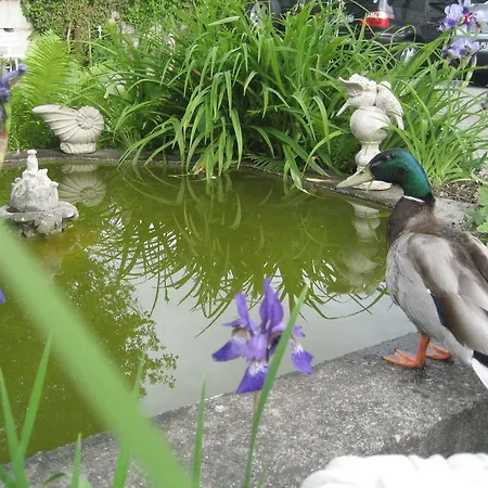 호텔 Schlossgarten Am Park Von Sanssouci